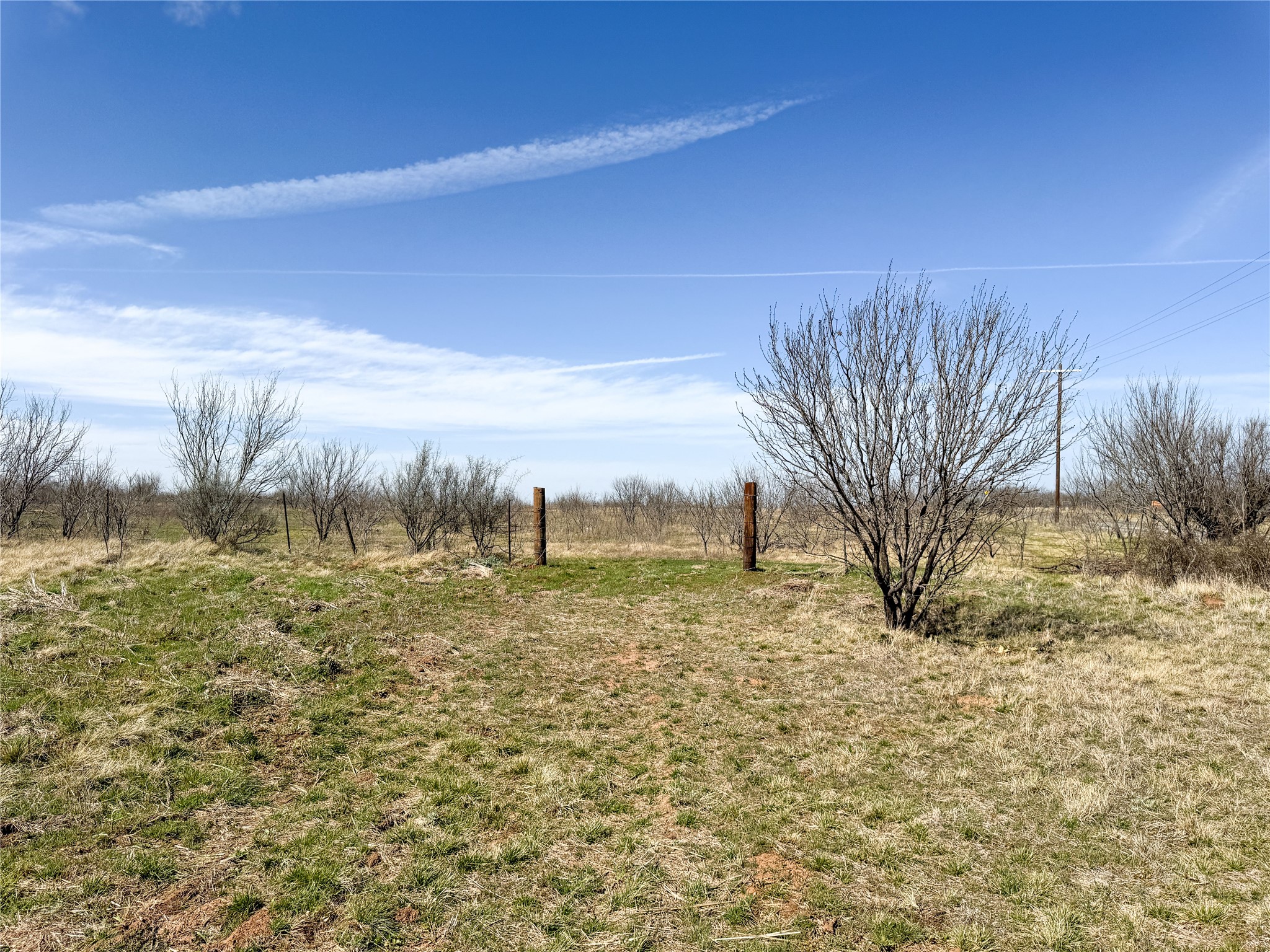 3300 Highway 569