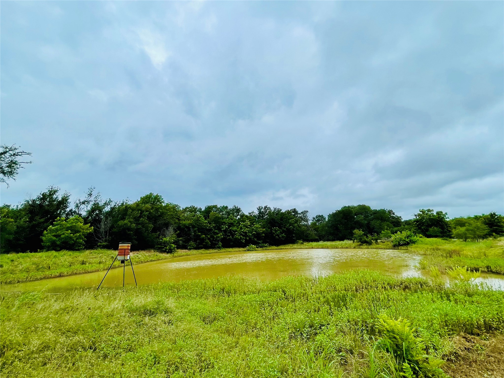103 County Road 536 Eastland TX