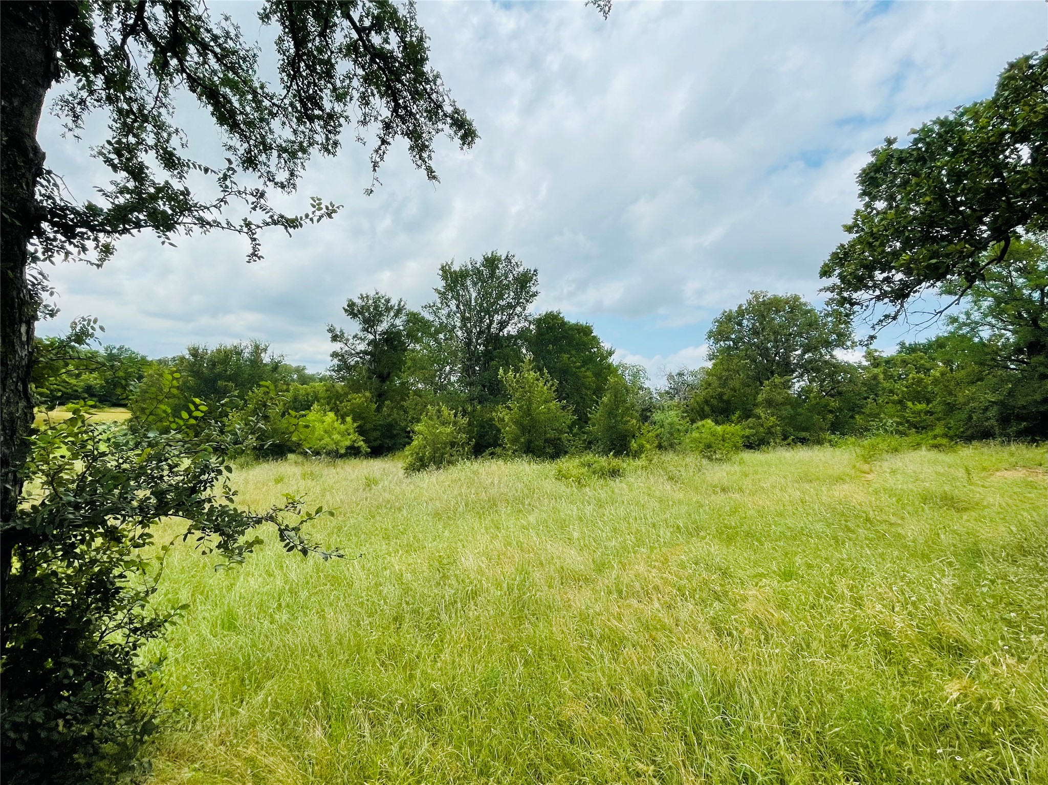 103 County Road 536