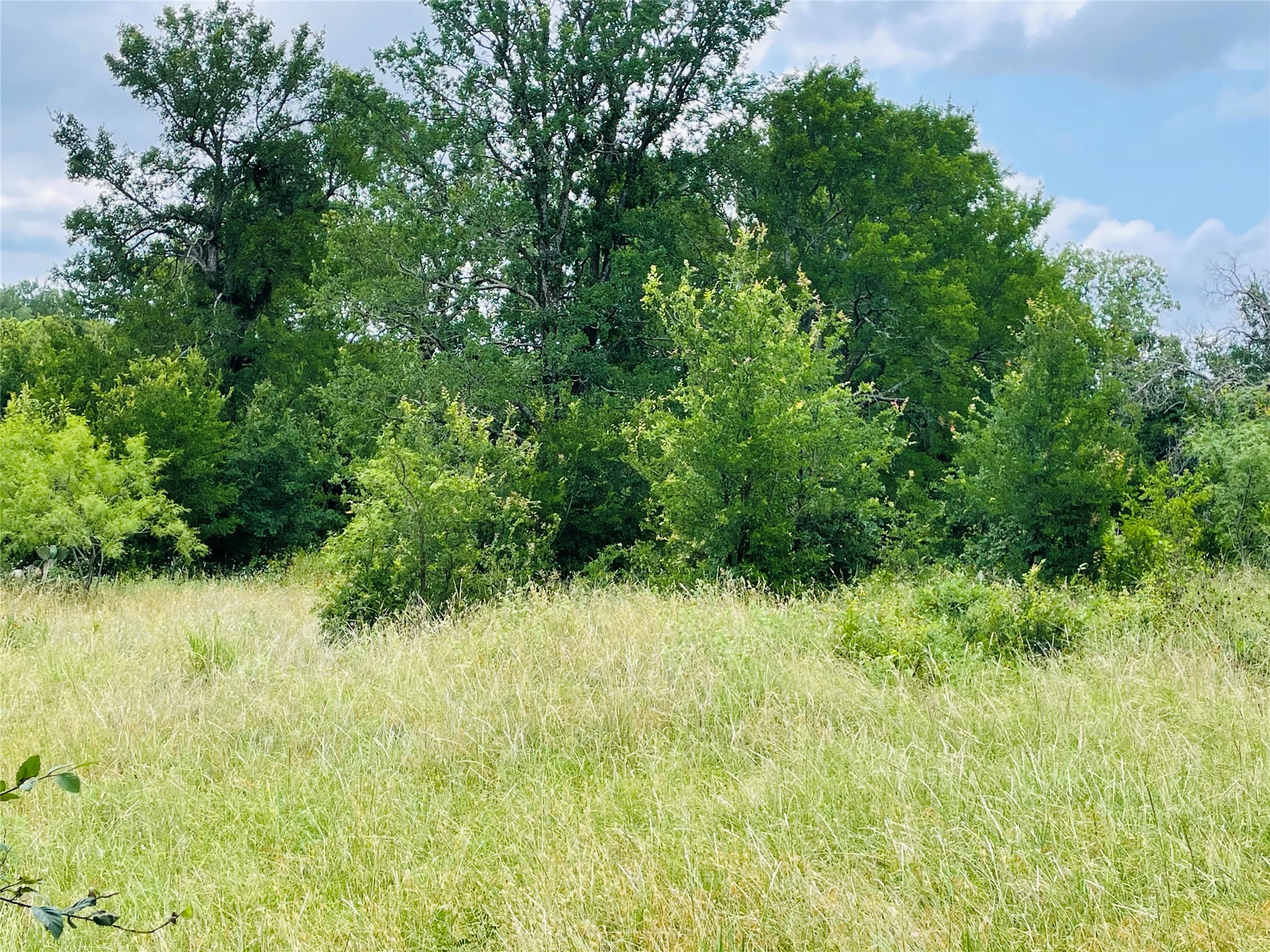 103 County Road 536