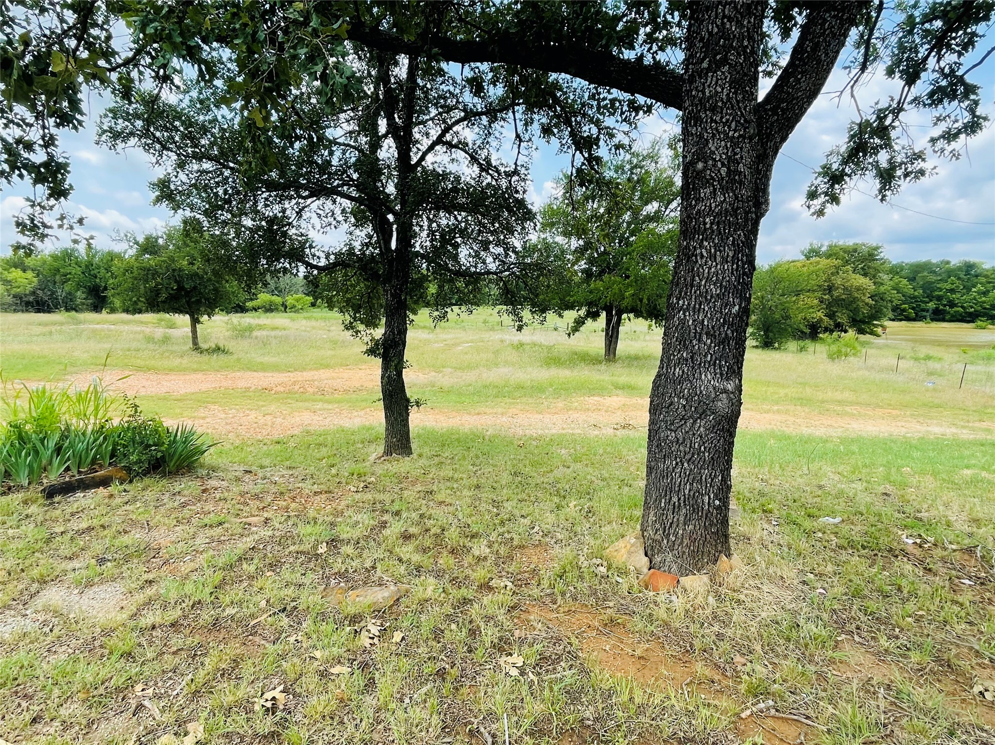 103 County Road 536