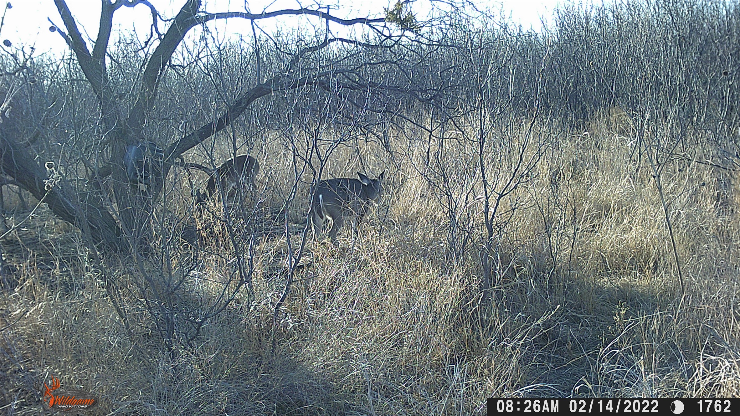 TBD US HWY 180