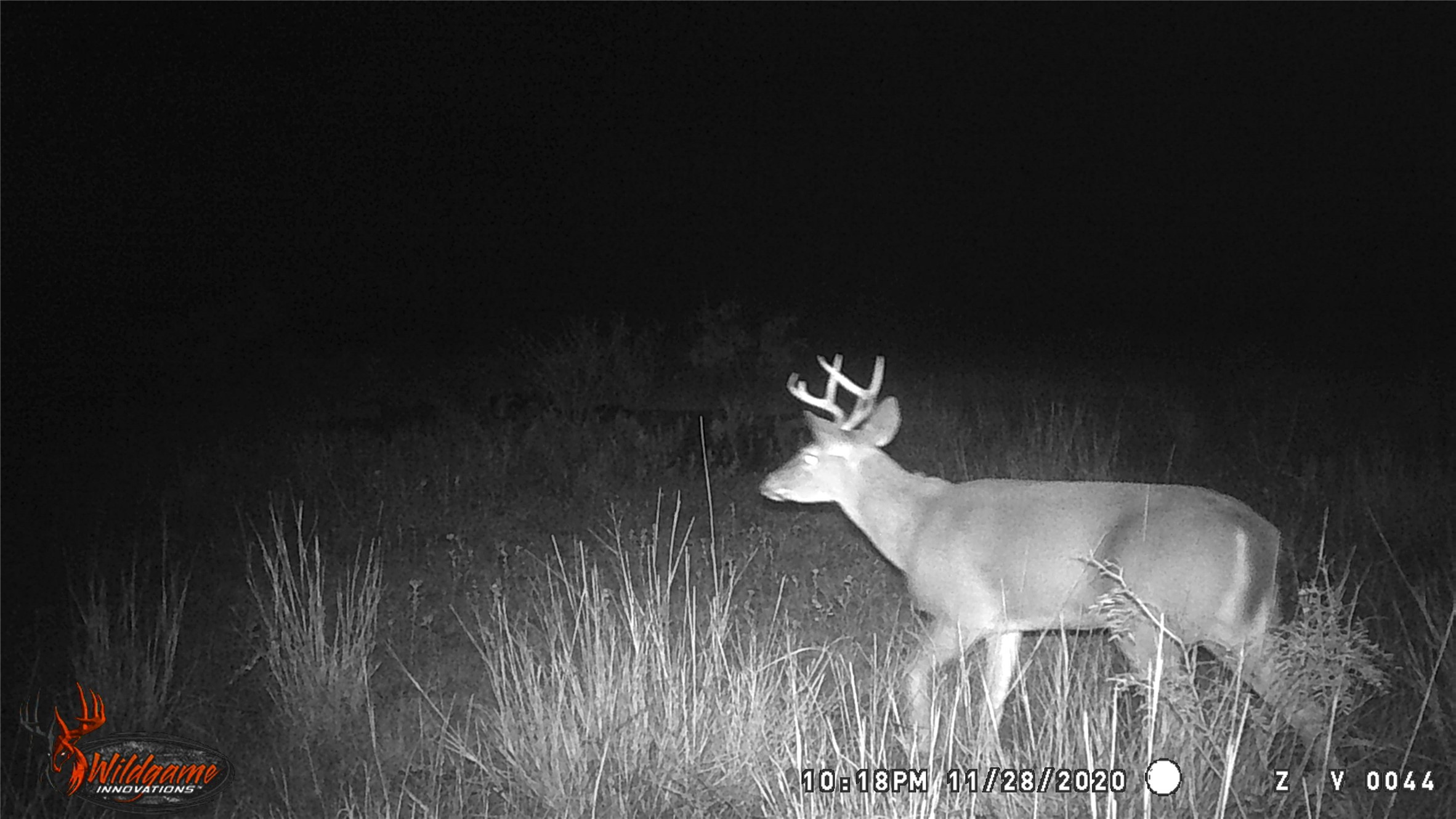 TBD US HWY 180