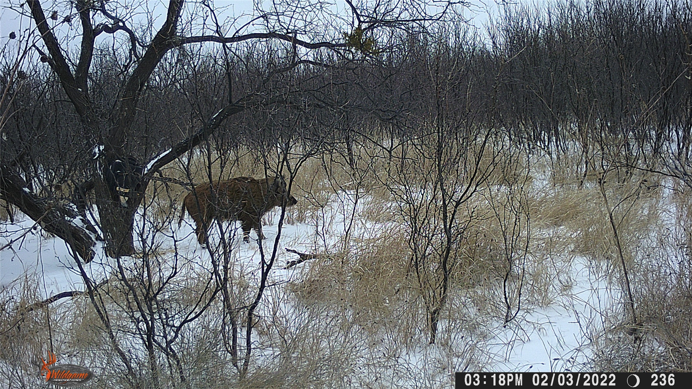 TBD US HWY 180