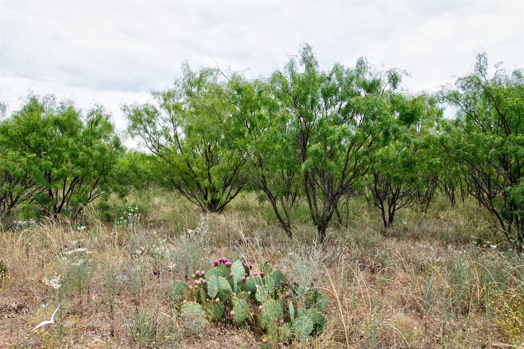 TBD US HWY 180