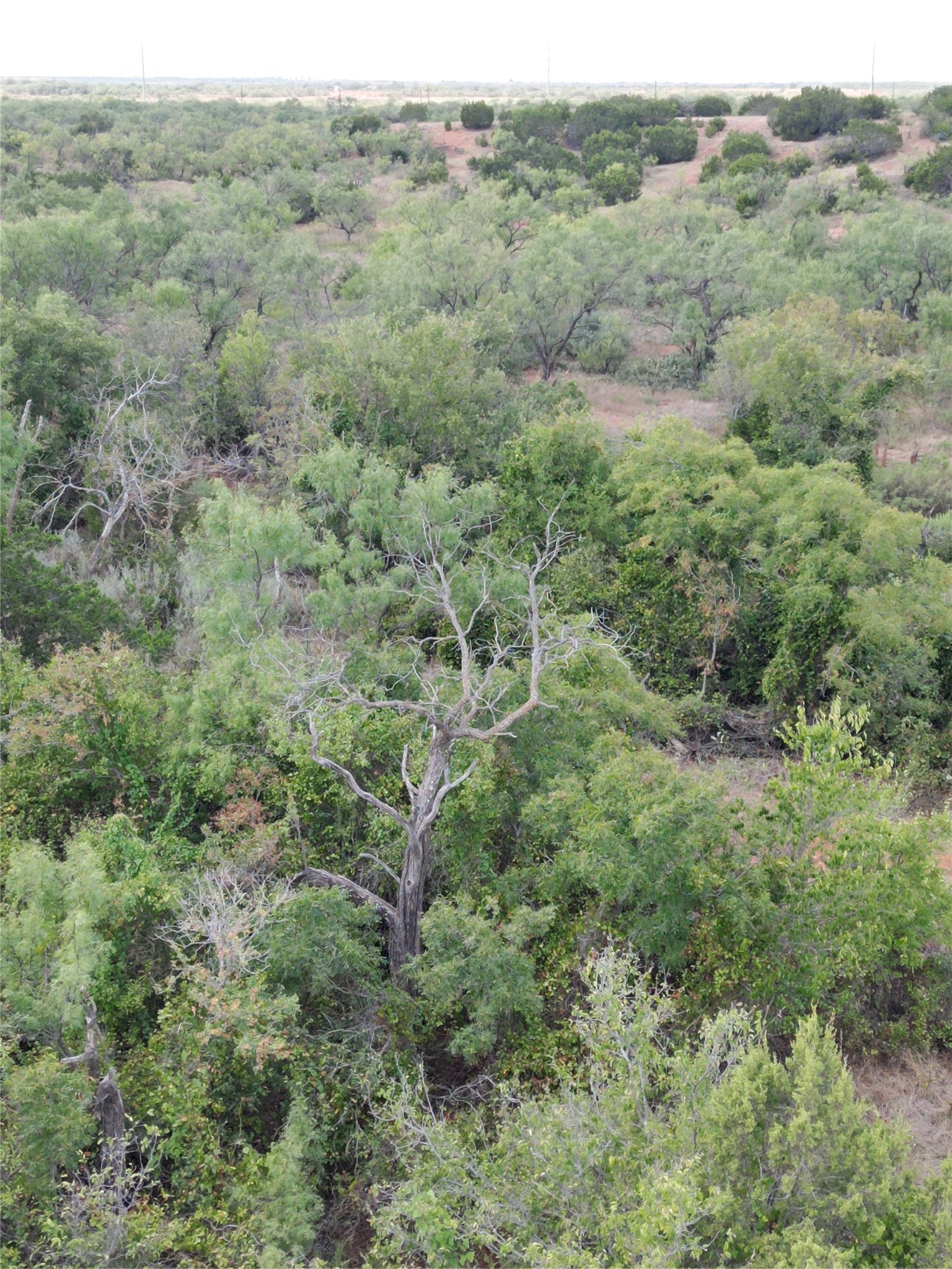 TBD 10.8 FM 1086