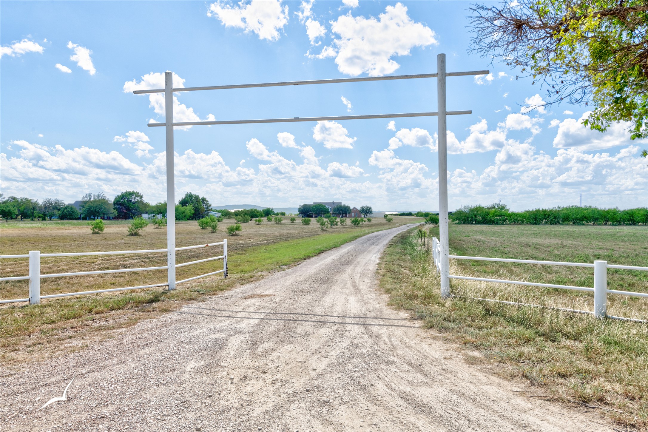 374 County Road 336 Tuscola TX