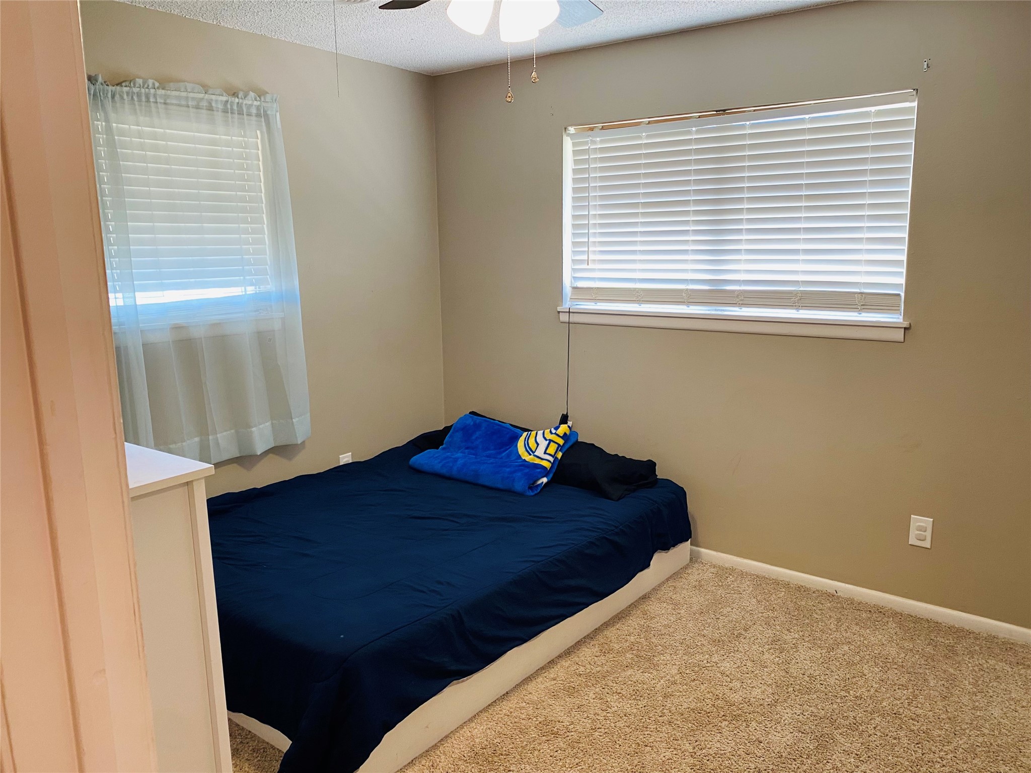 5334 Alamo Drive