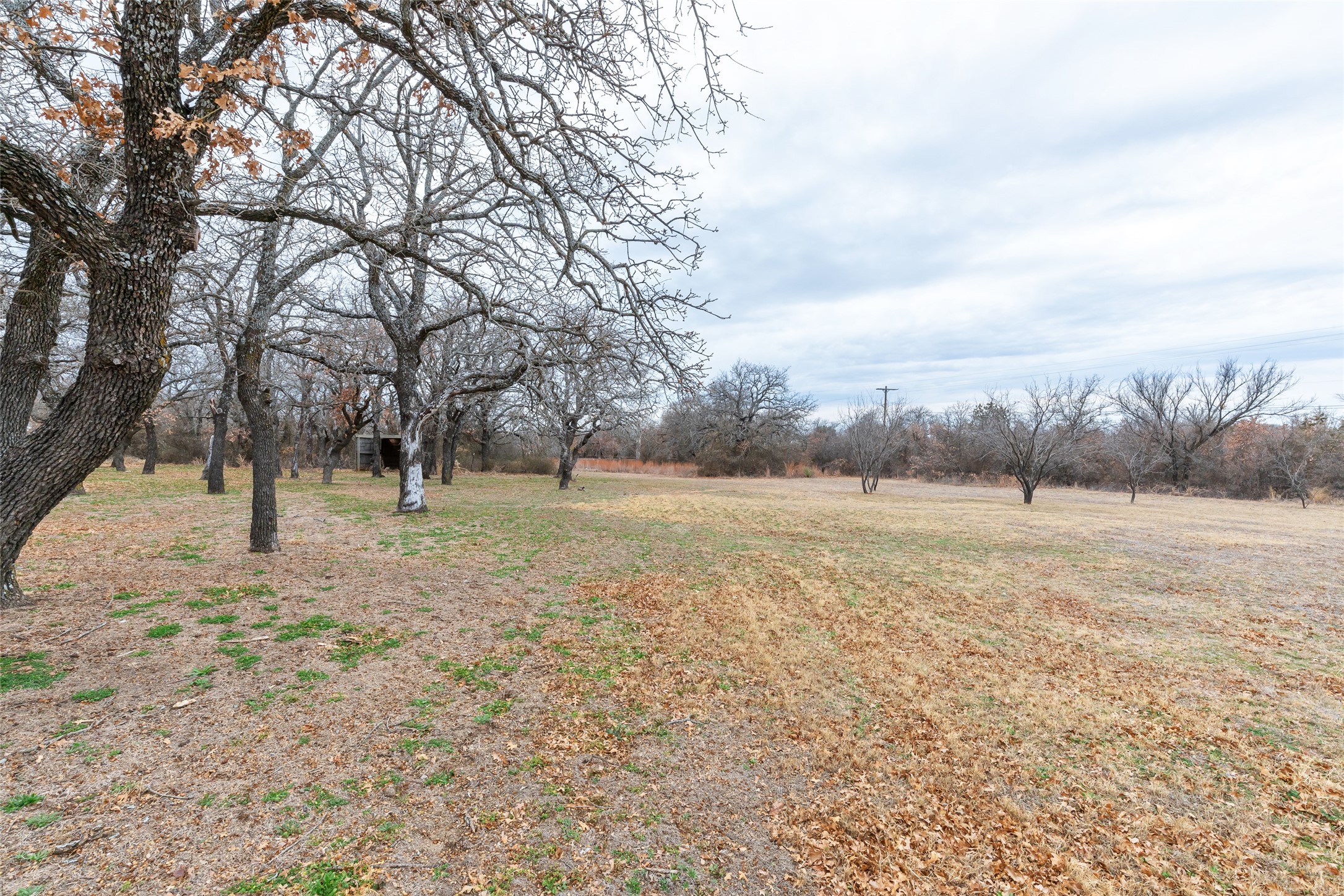 9259 County Road 258