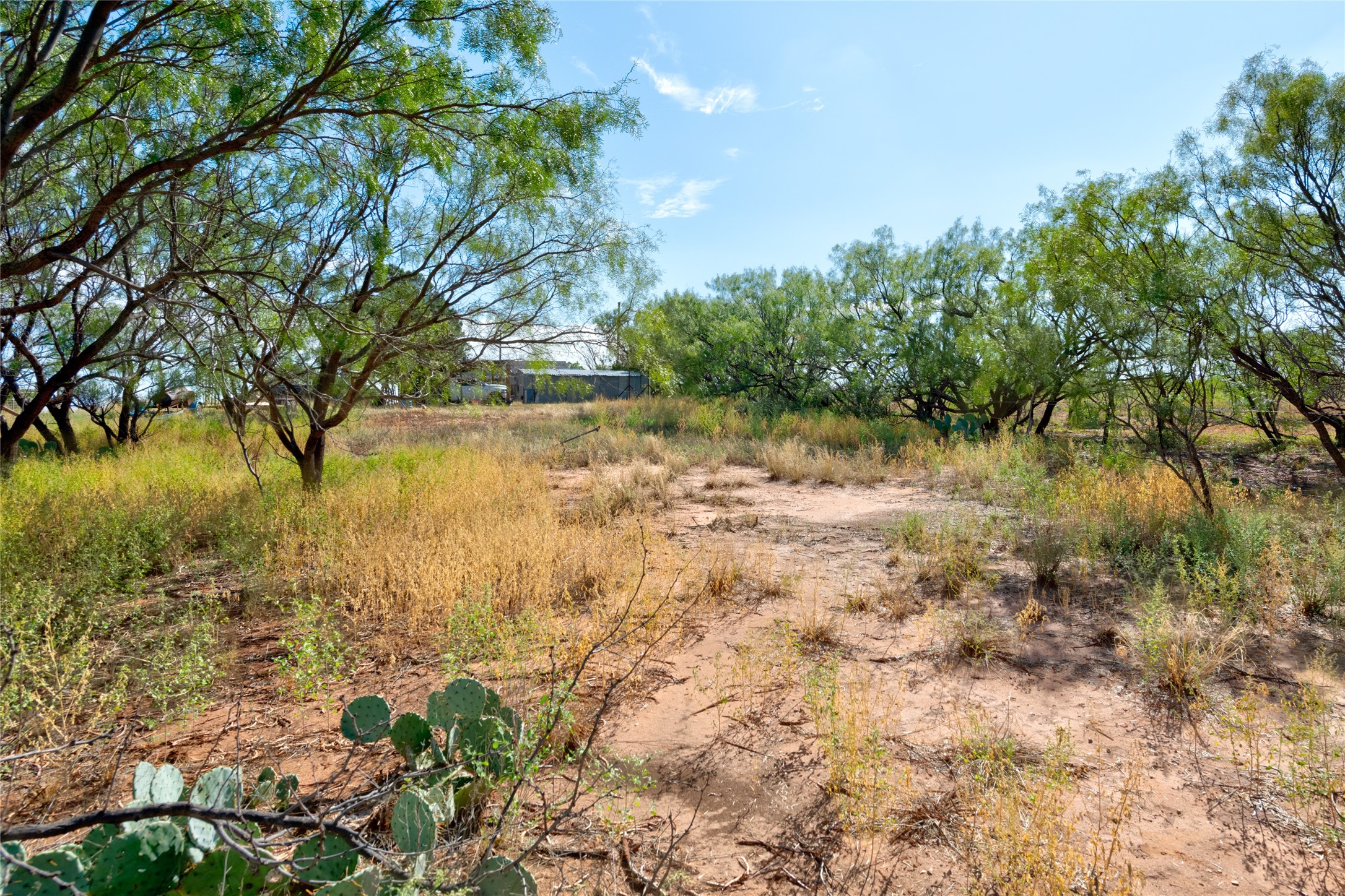 1216 County Road 349
