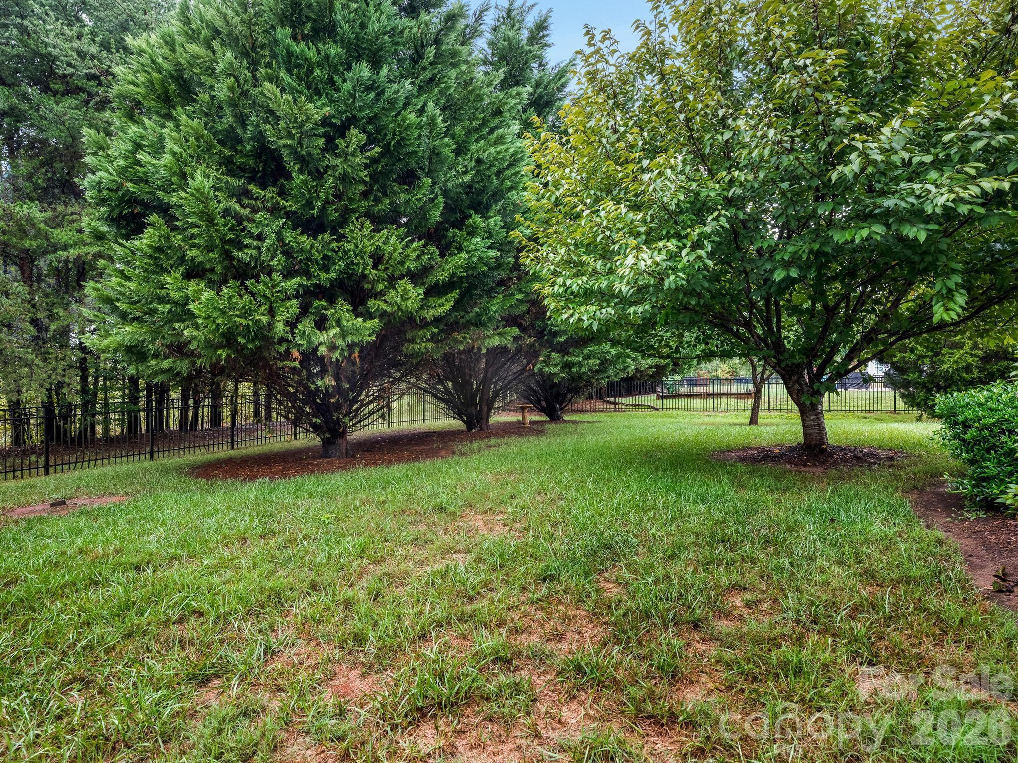 Grassy backyard with mature trees and a black metal fence.