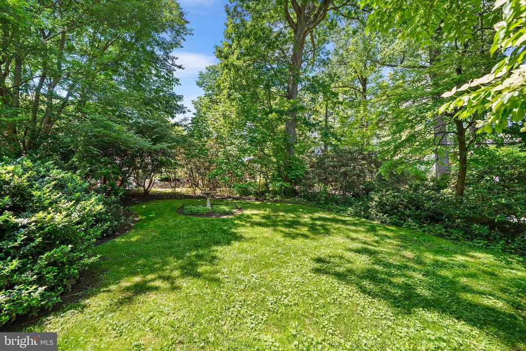 311 Millbank Rd