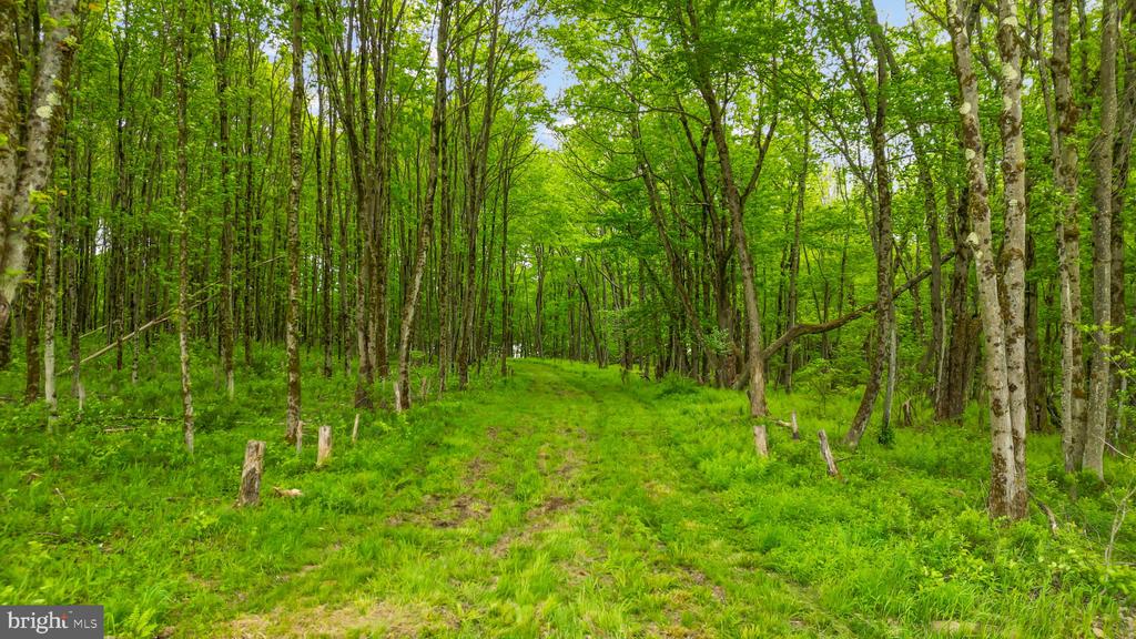 LOT 2C DUNN LANE