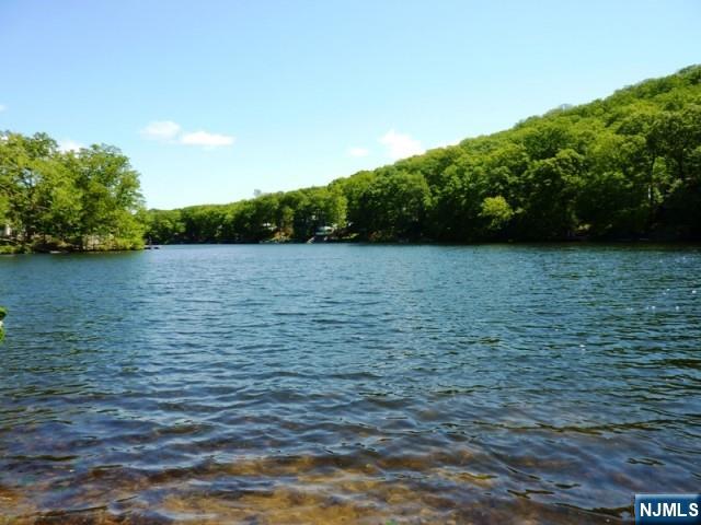 520 Skyline Lake Drive