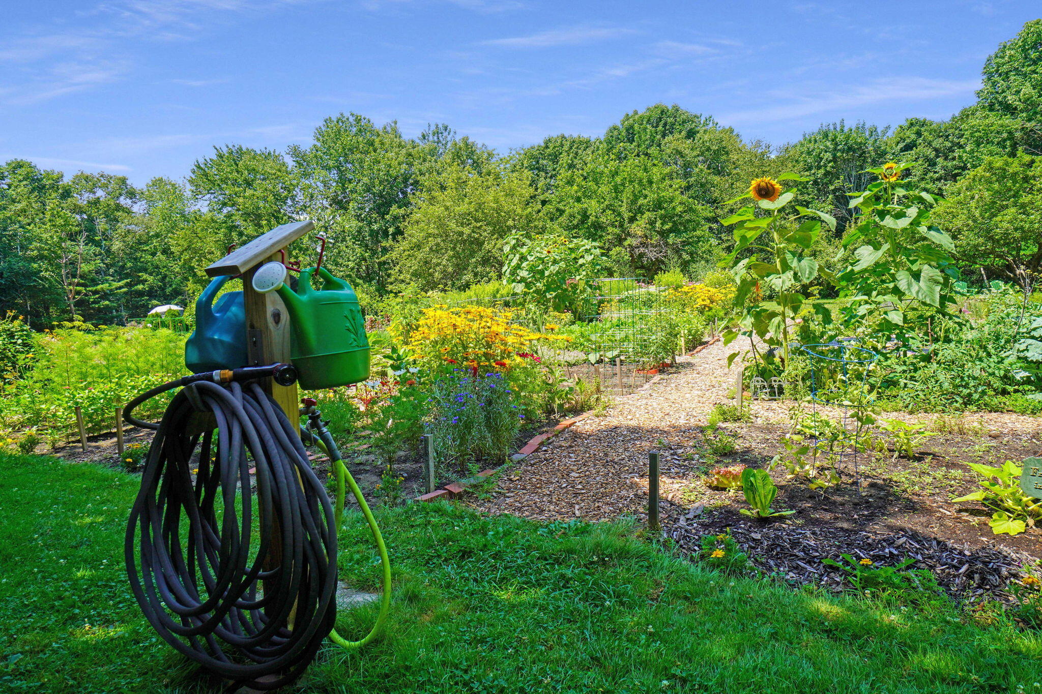 51 Applegate Lane, 51