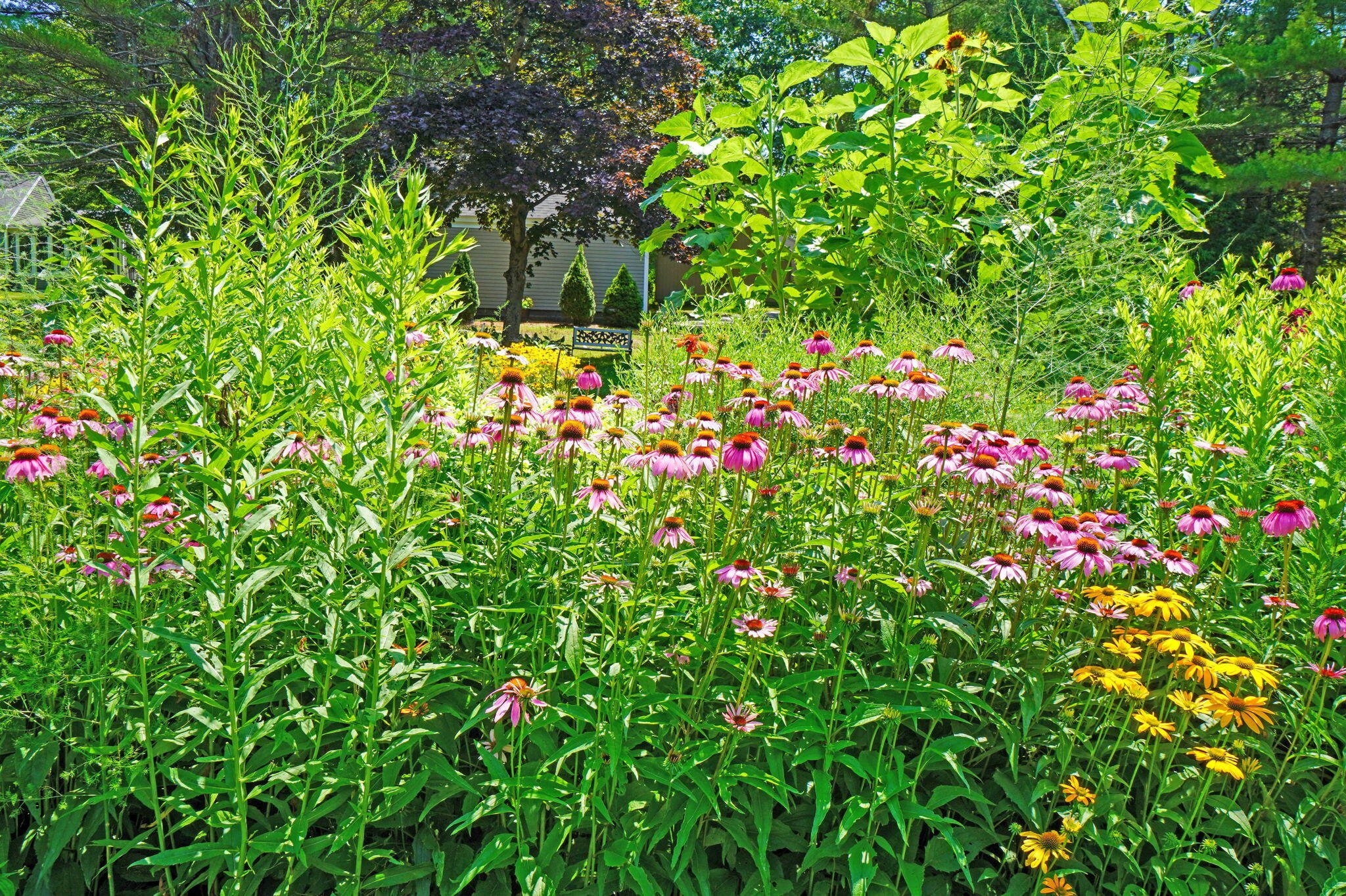 51 Applegate Lane, 51