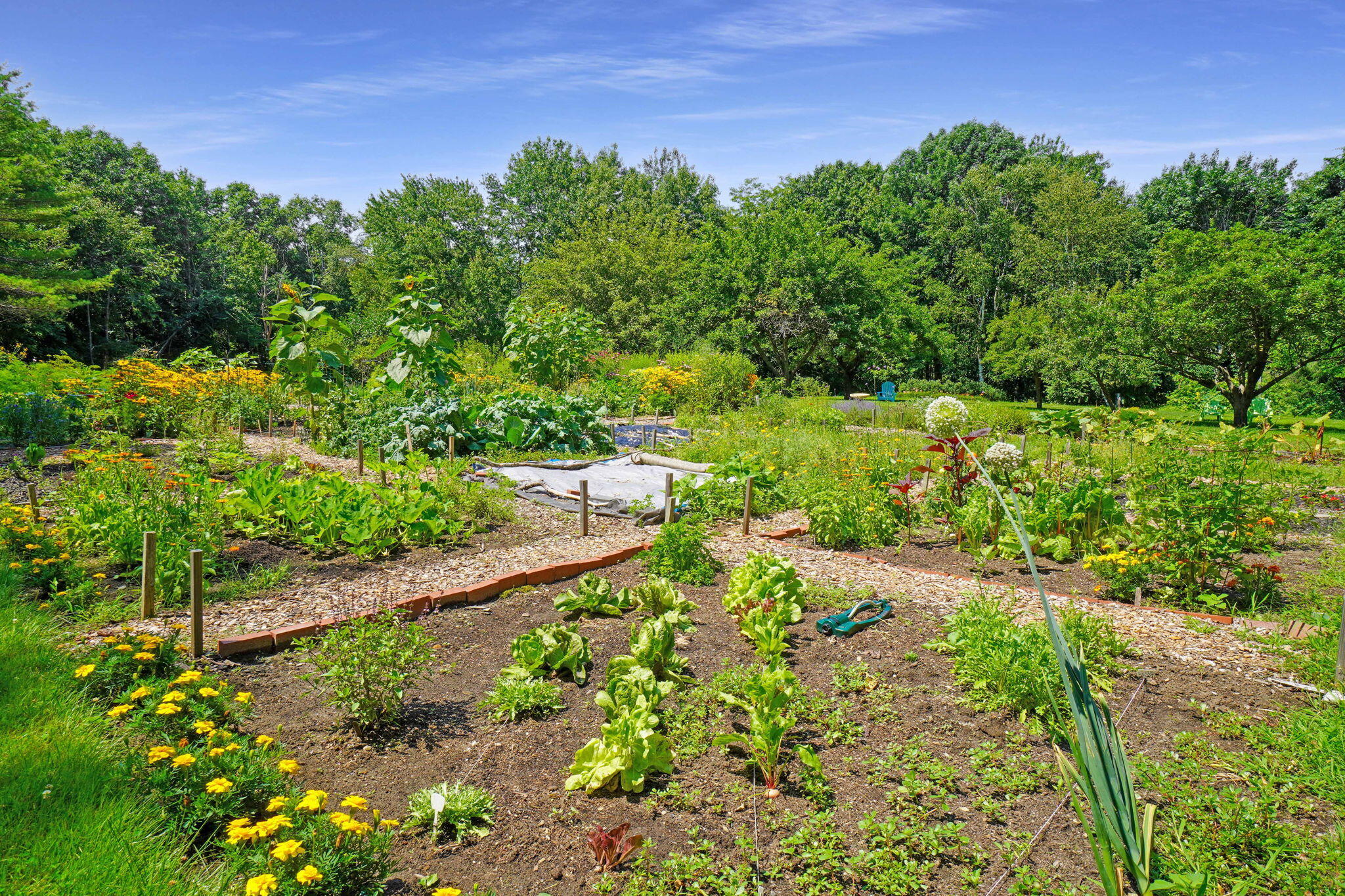 51 Applegate Lane, 51