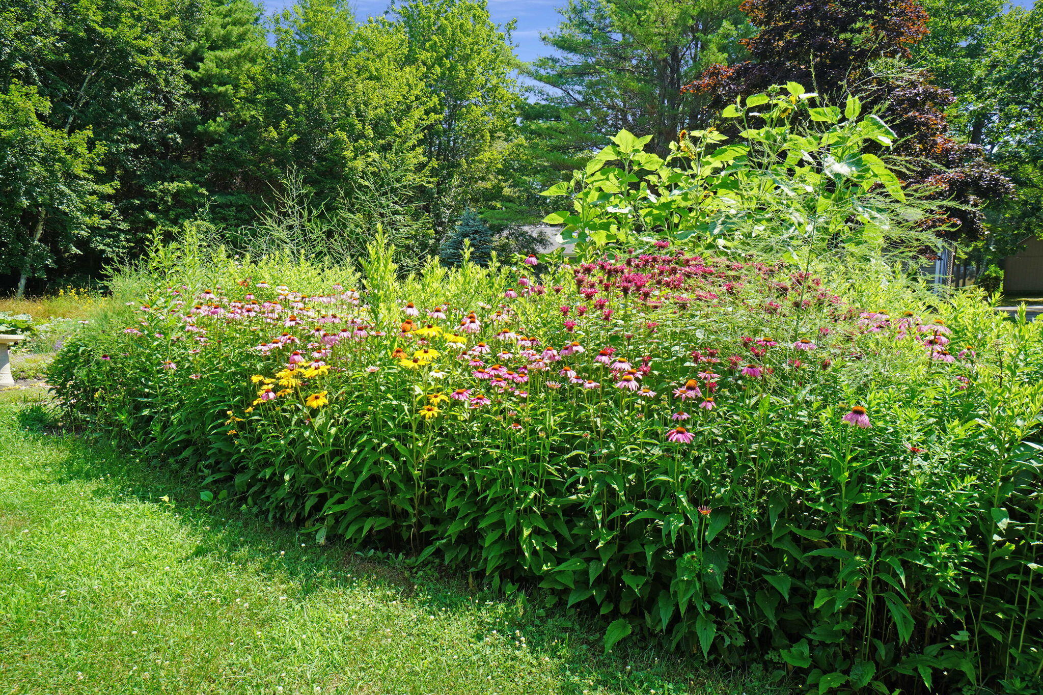 51 Applegate Lane, 51