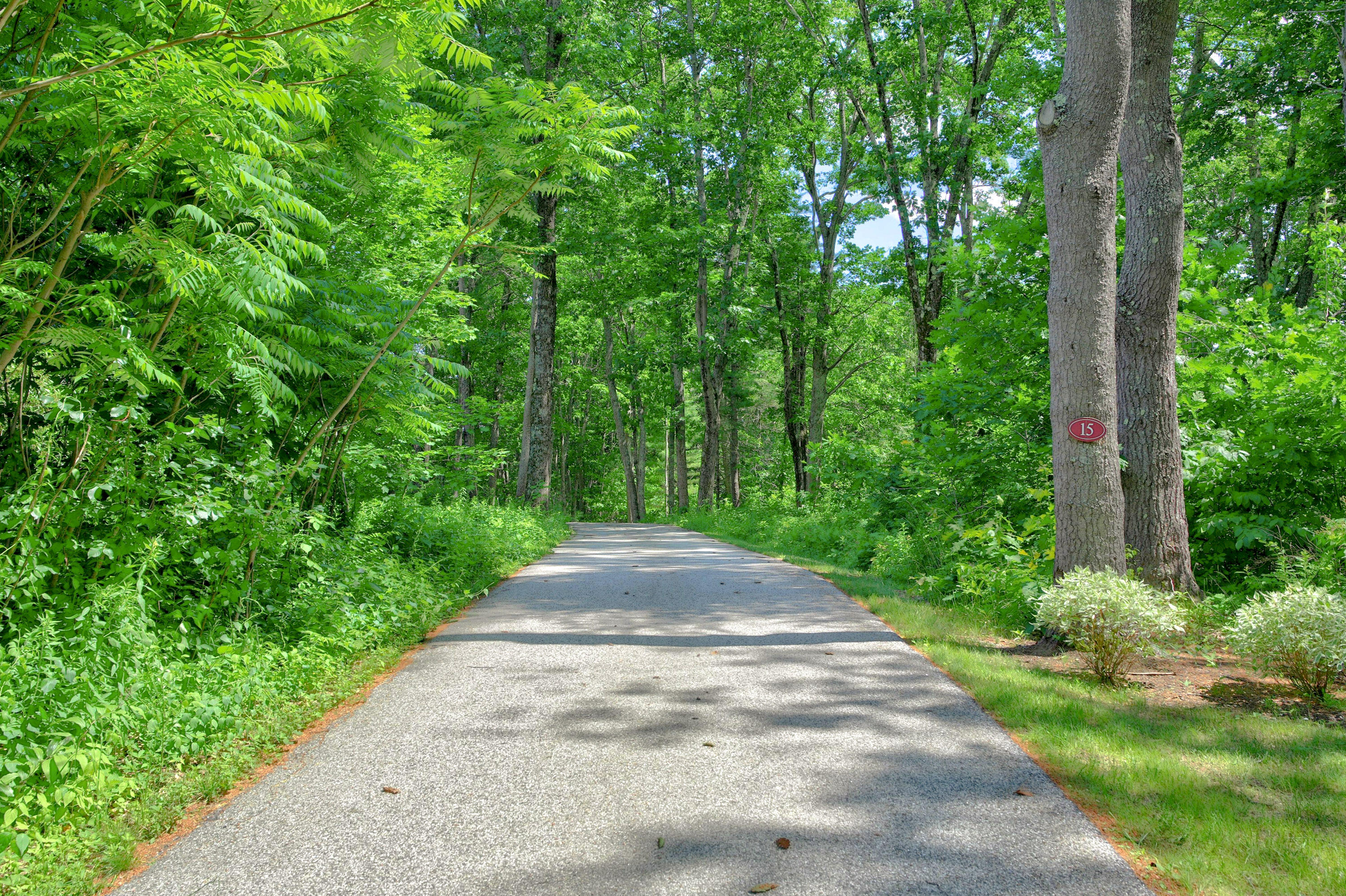 15 Sturdivant Road