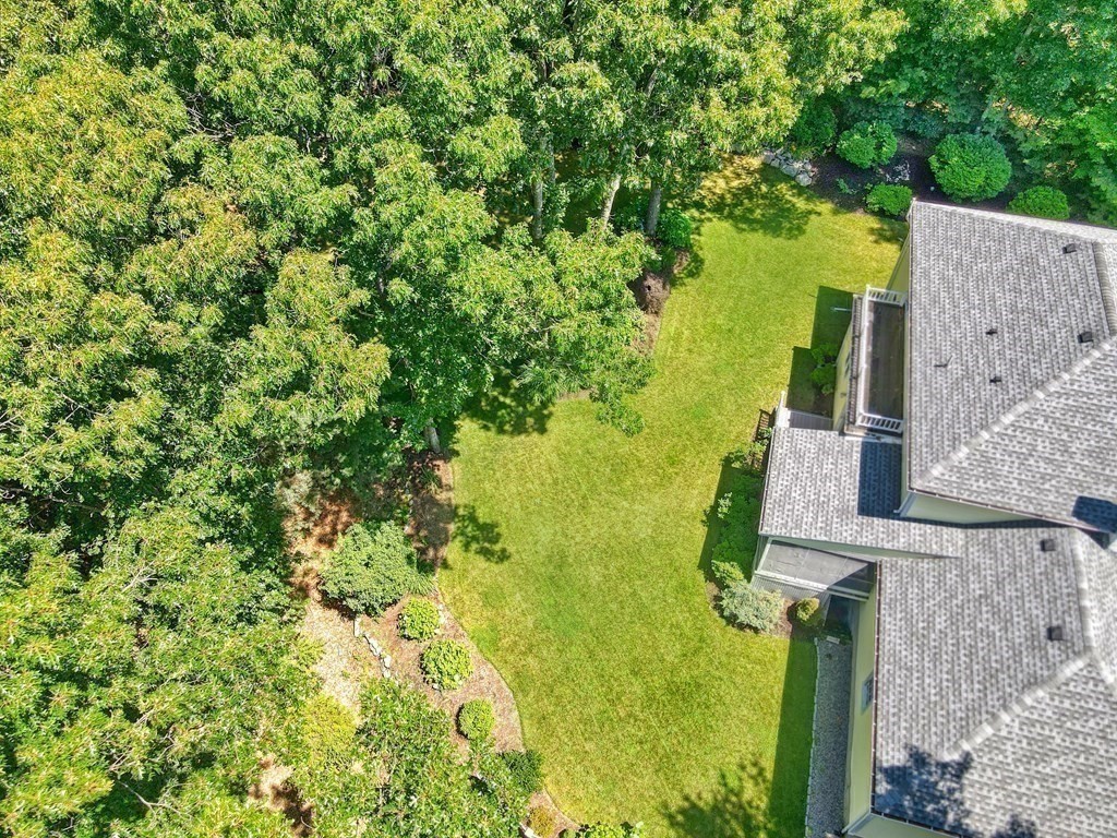 64 Blueberry Lane