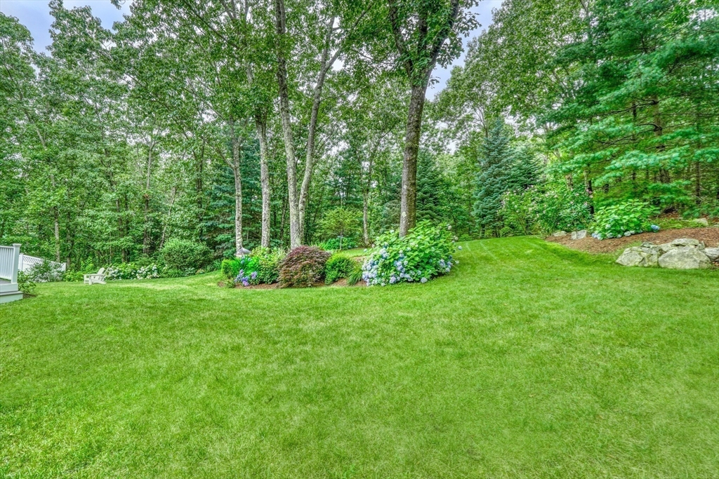 64 Blueberry Lane