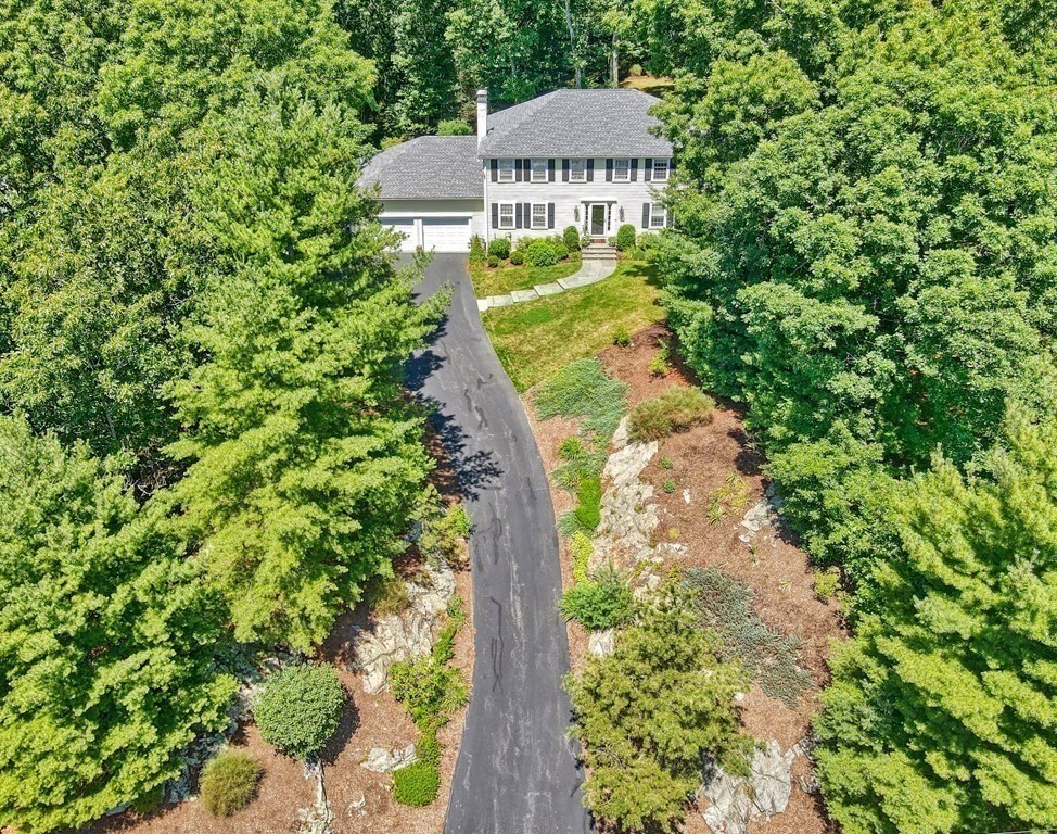 64 Blueberry Lane