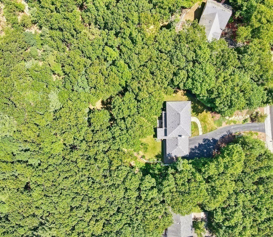 64 Blueberry Lane