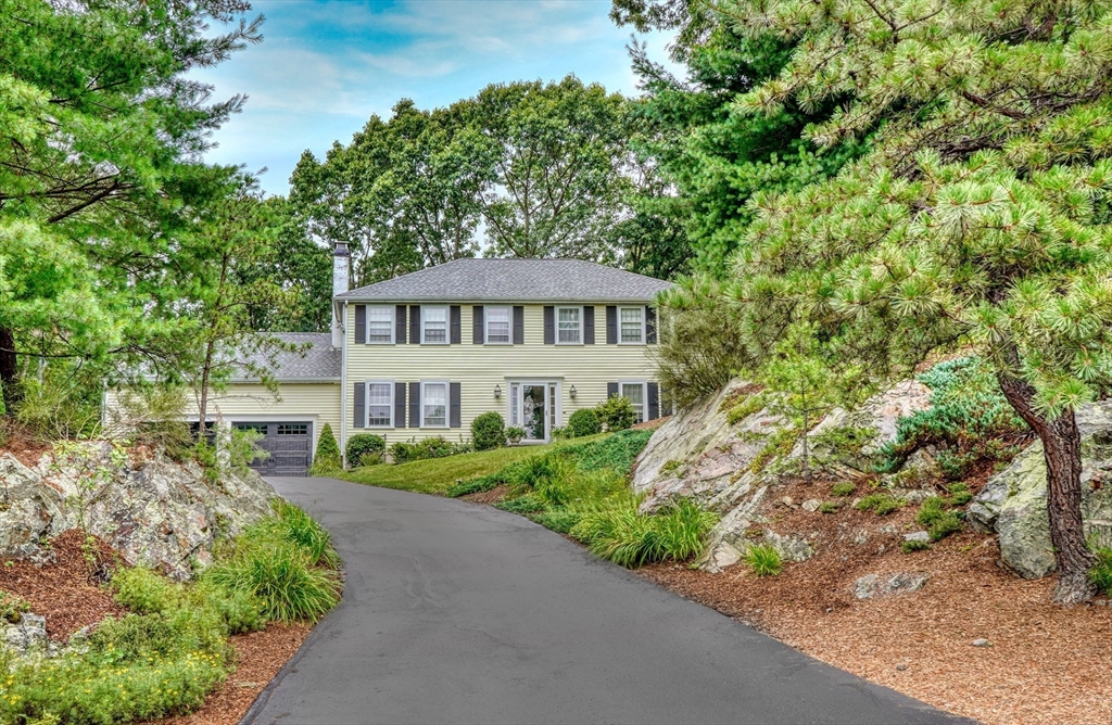 64 Blueberry Lane