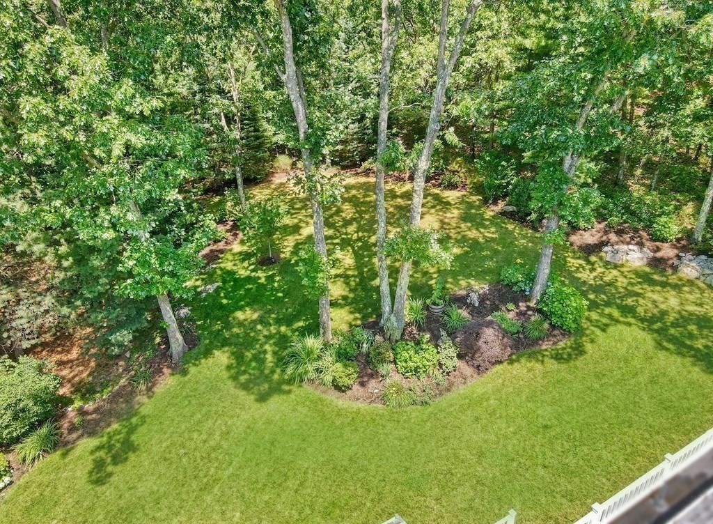 64 Blueberry Lane