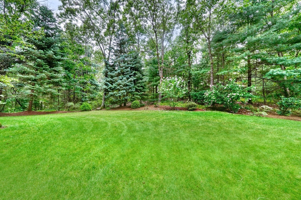 64 Blueberry Lane