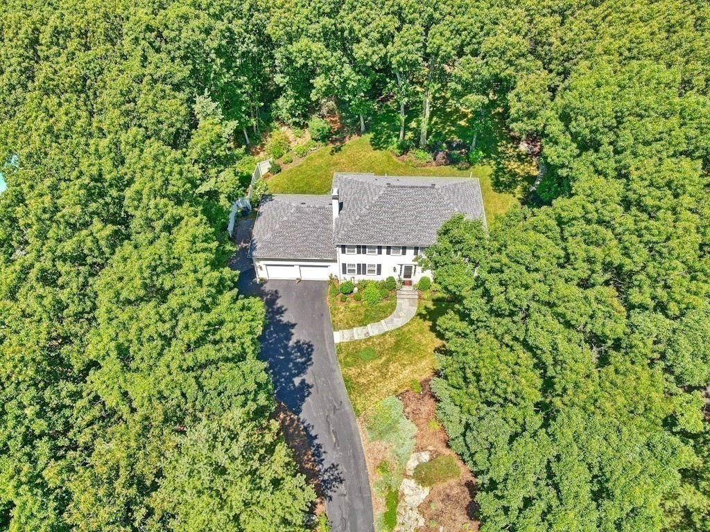 64 Blueberry Lane