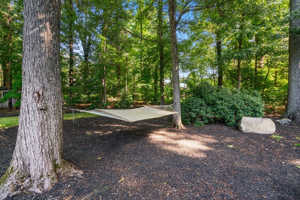 170 Clapboardtree Street