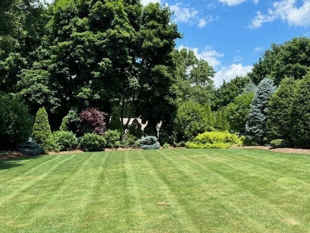 86 Strasser Avenue