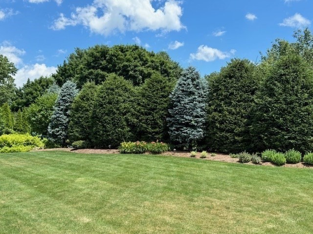 86 Strasser Avenue