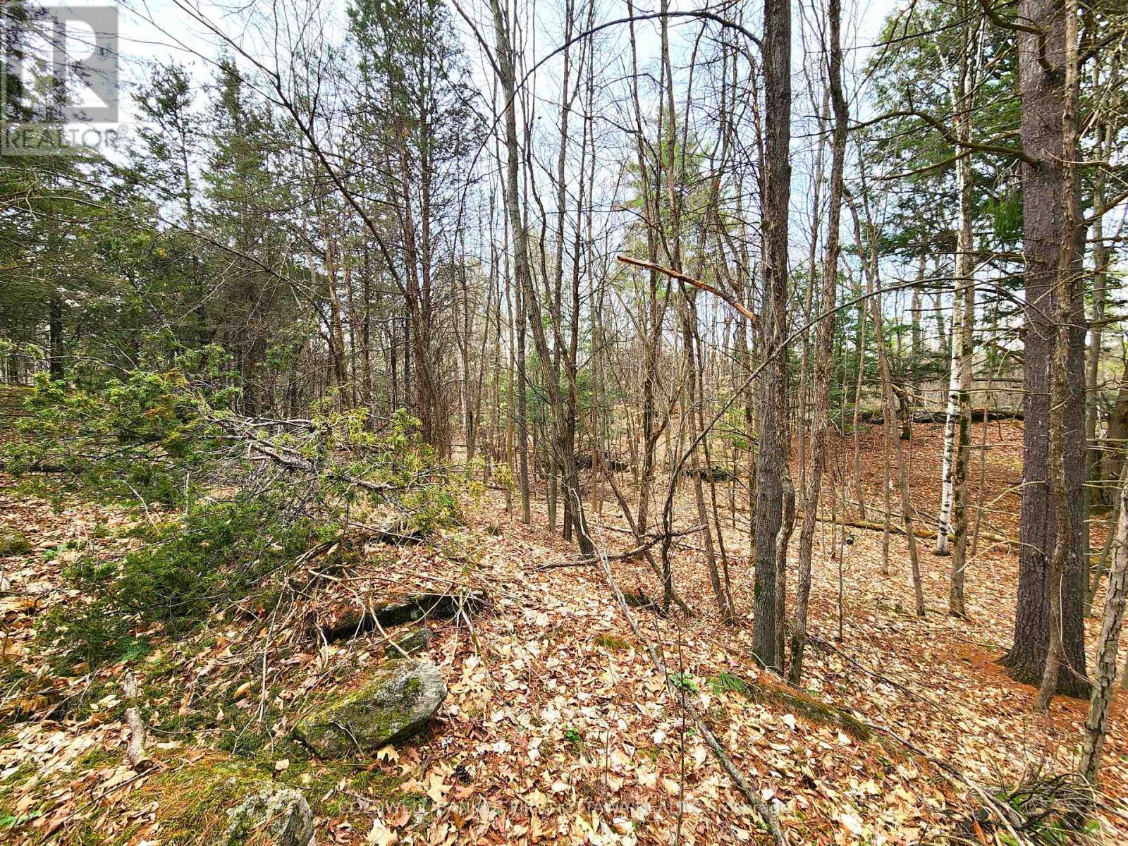 00 ROUSHORN ROAD