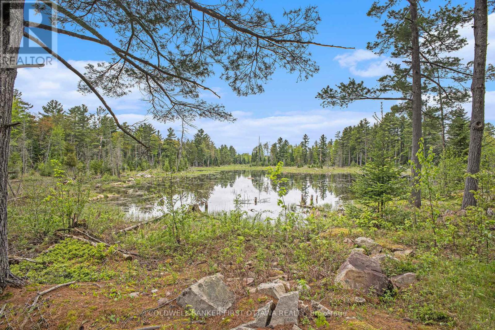 732 BELLAMY MILLS ROAD