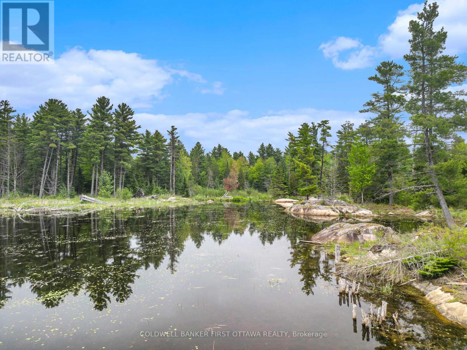 732 BELLAMY MILLS ROAD