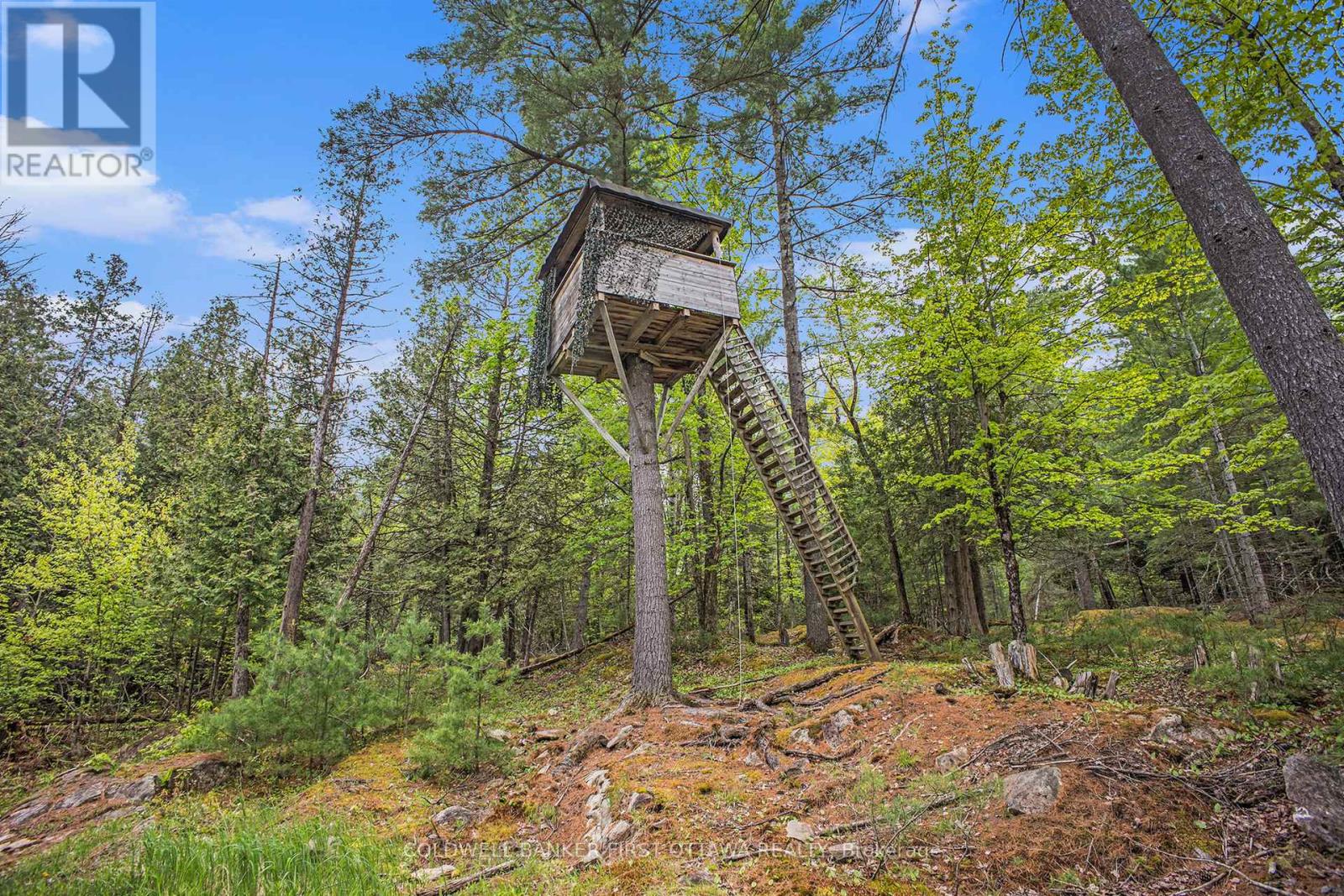 732 BELLAMY MILLS ROAD