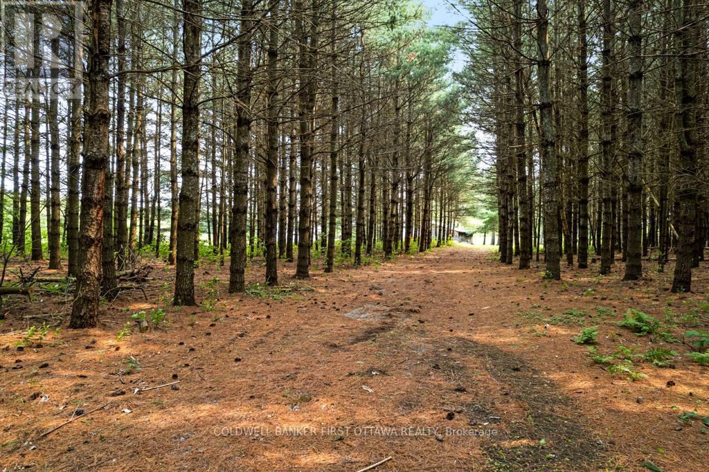 2603 RAMSAY 6D CONCESSION