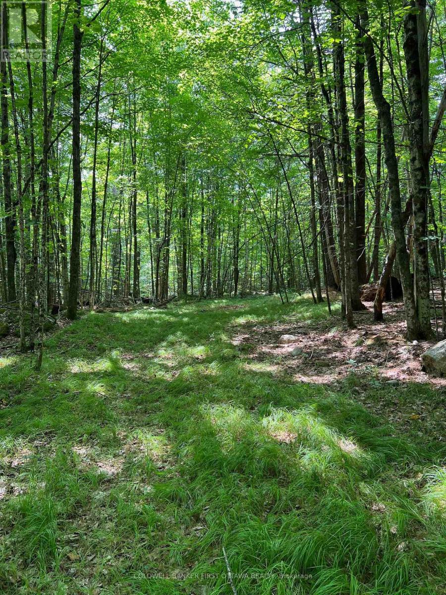 2603 RAMSAY 6D CONCESSION