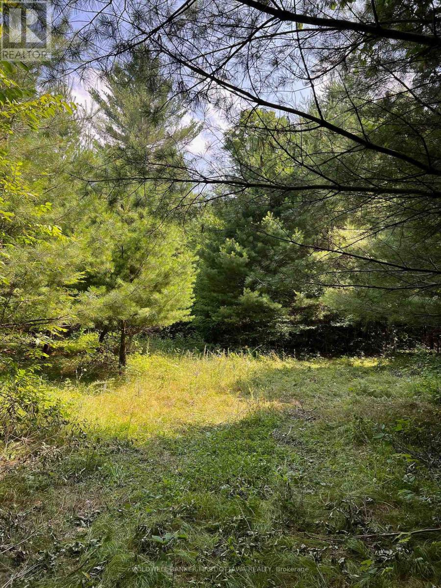 2603 RAMSAY 6D CONCESSION