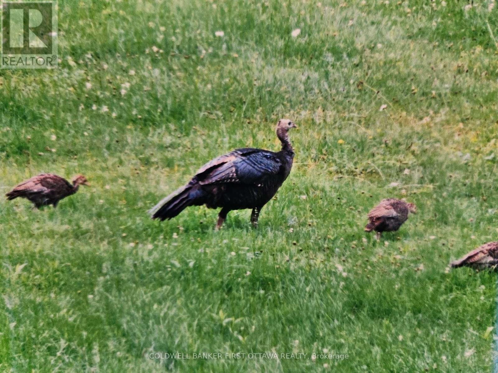 9252 HIGHWAY 511 ROAD