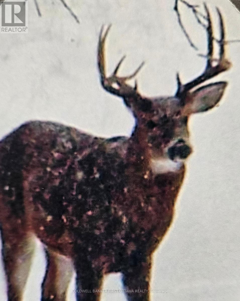 9252 HIGHWAY 511 ROAD