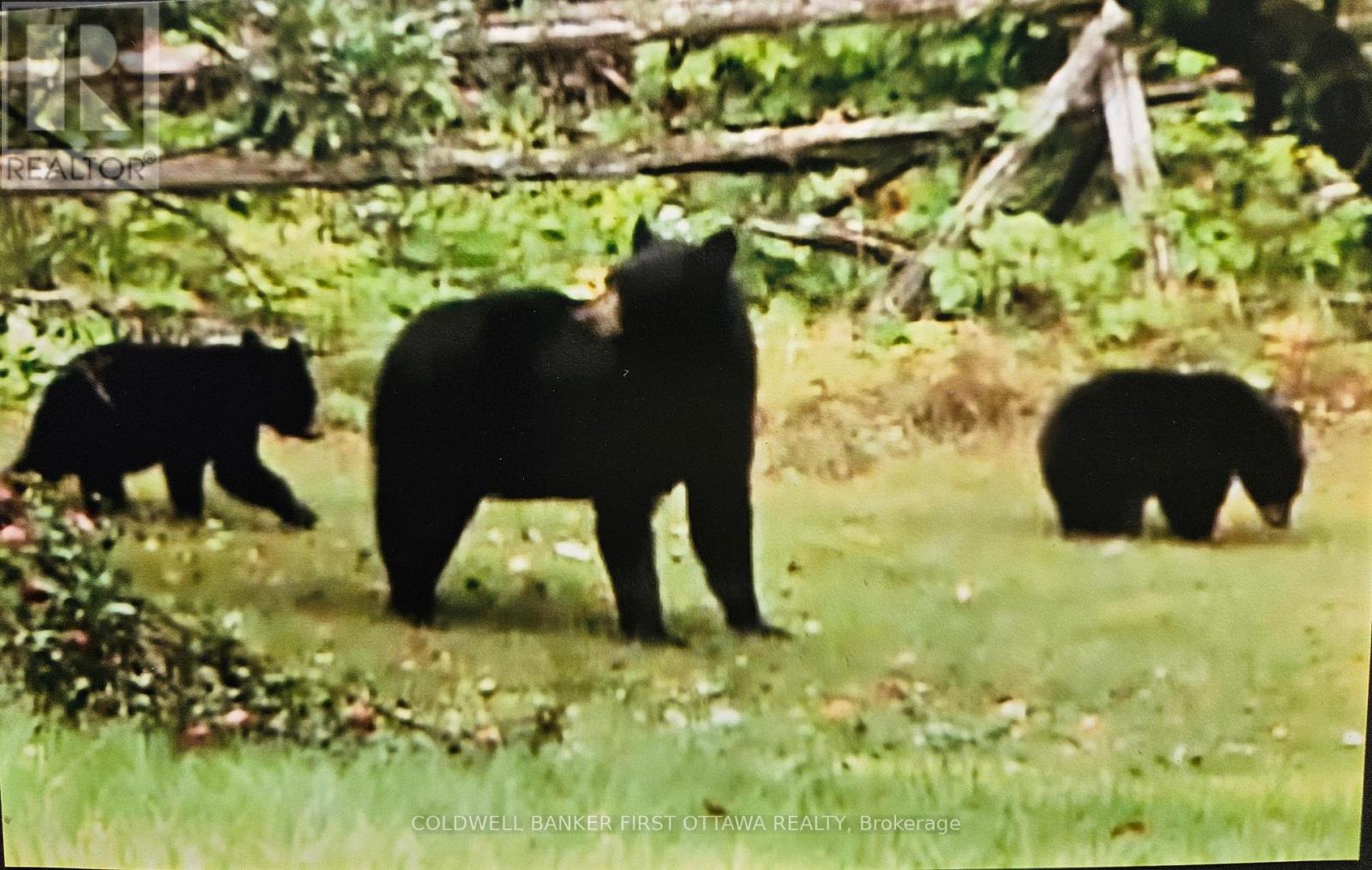 9252 HIGHWAY 511 ROAD