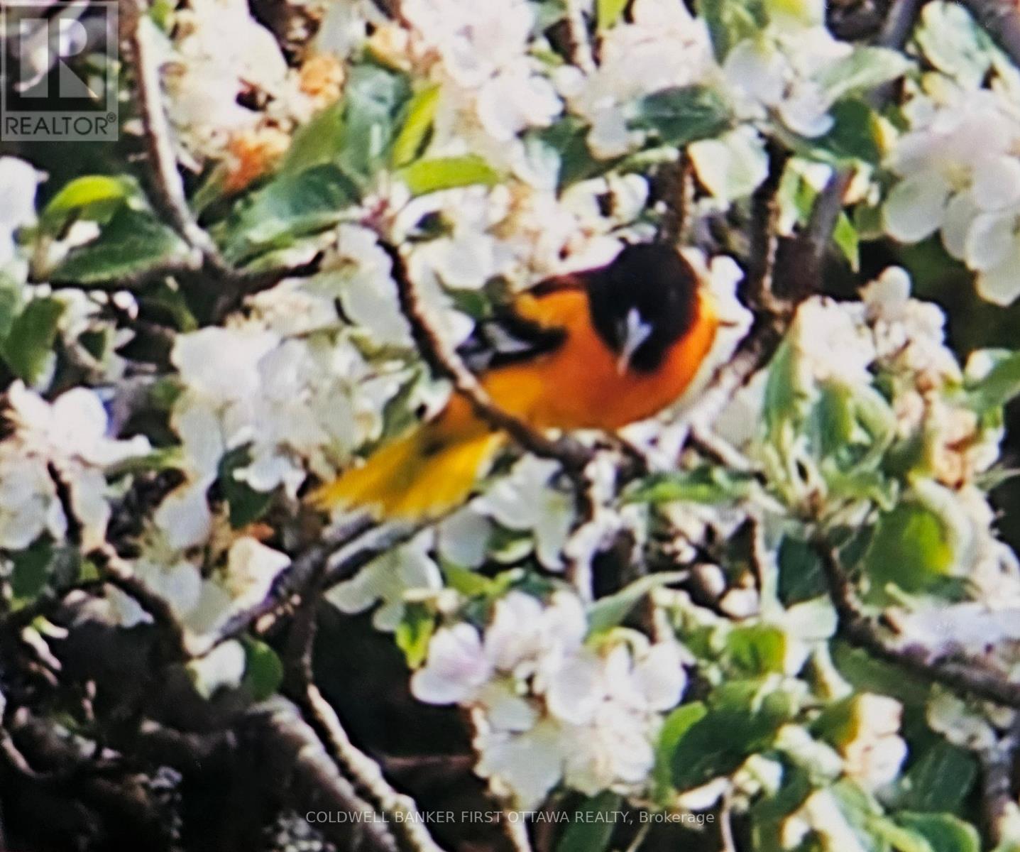 9252 HIGHWAY 511 ROAD