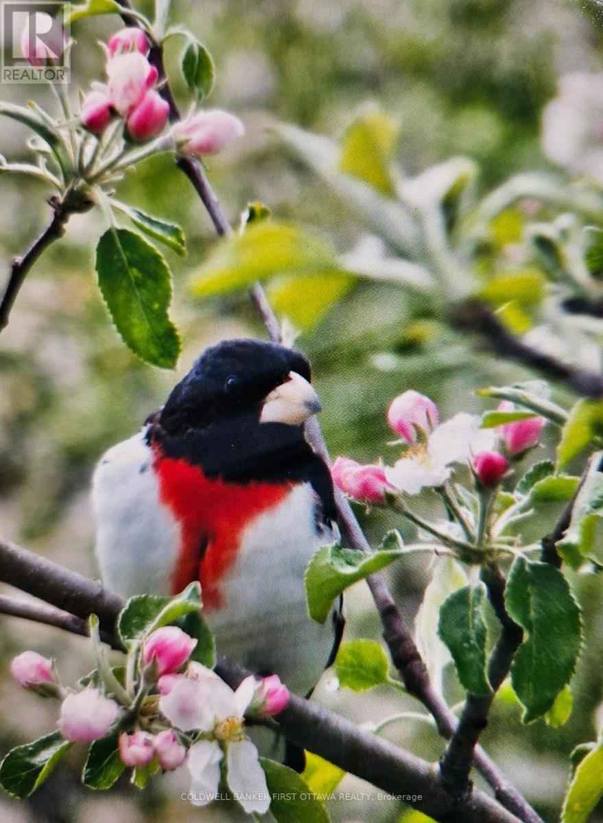 9252 HIGHWAY 511 ROAD