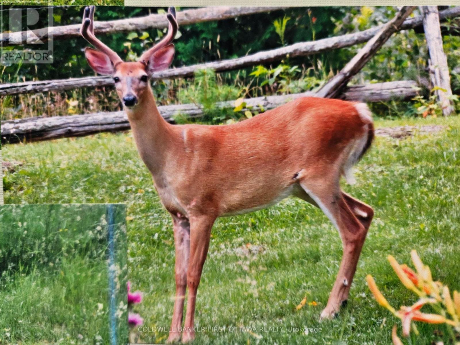 9252 HIGHWAY 511 ROAD