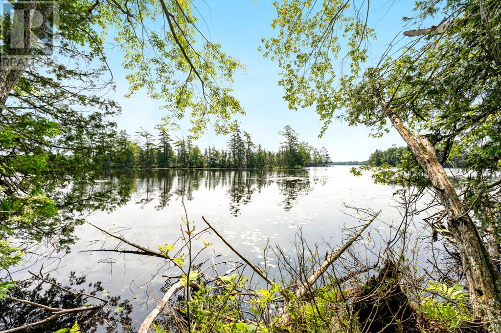 000 GRACEYS ISLAND