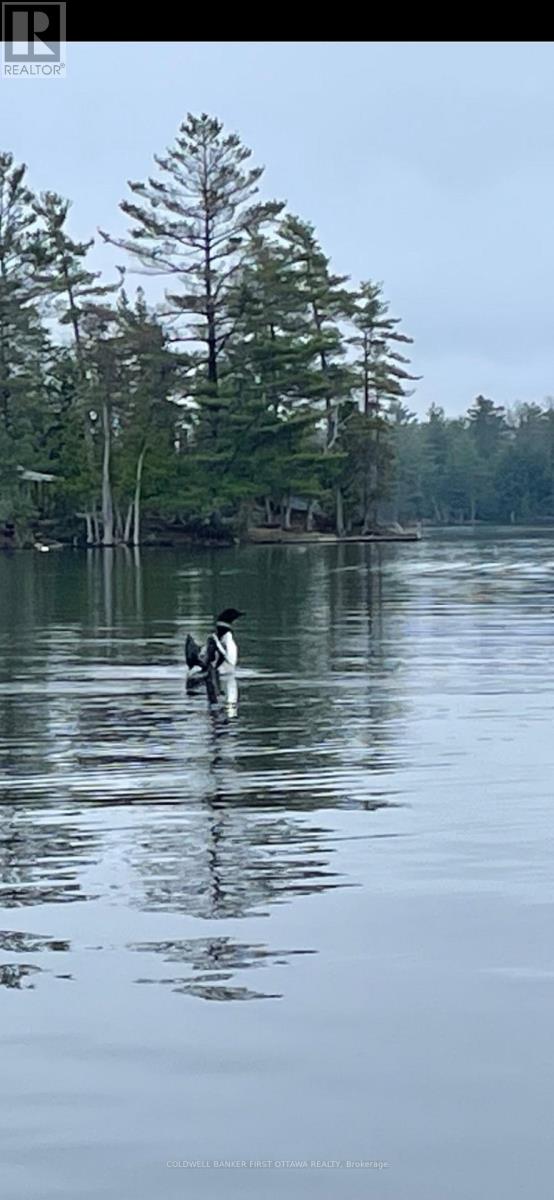 000 GRACEYS ISLAND