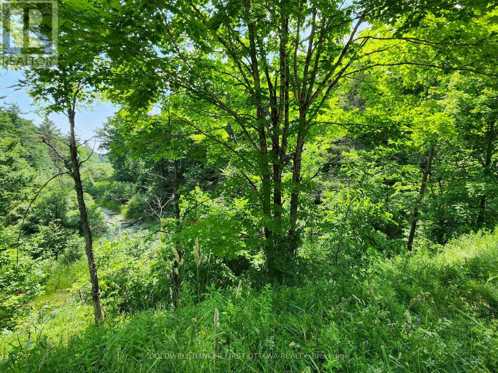 115 DORAN ROAD